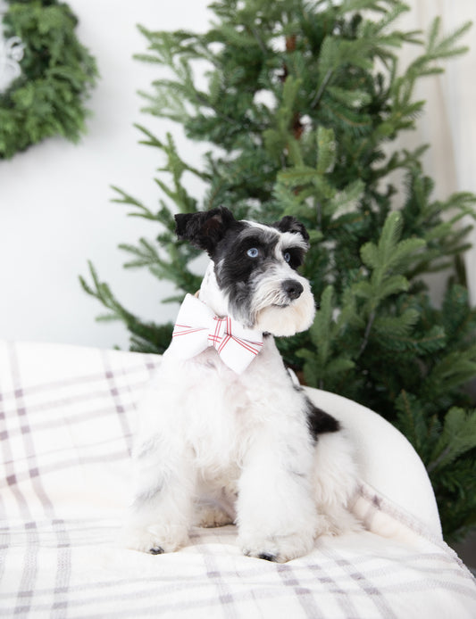 Christmas Plaid Over the collar dog bow