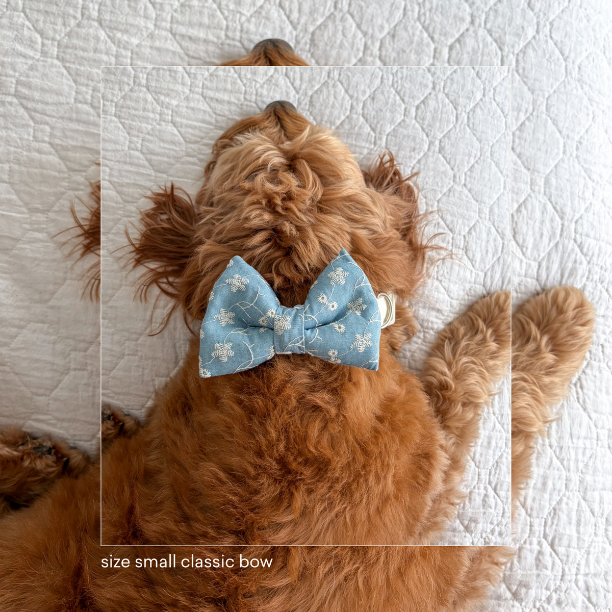 Denim Eyelet Classic Bow