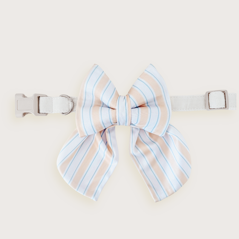 Capri Coast Sailor Dog Bow