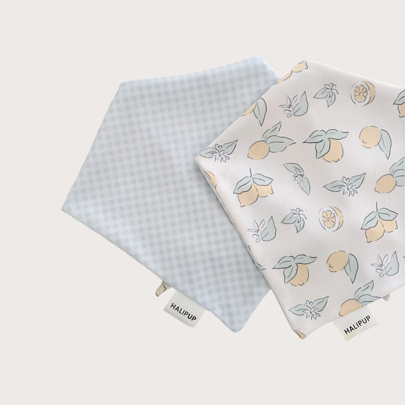 The Cottage Citrus Dog Bandana
