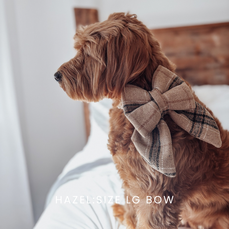 Brown Plaid Knit Over The Collar Dog Bow