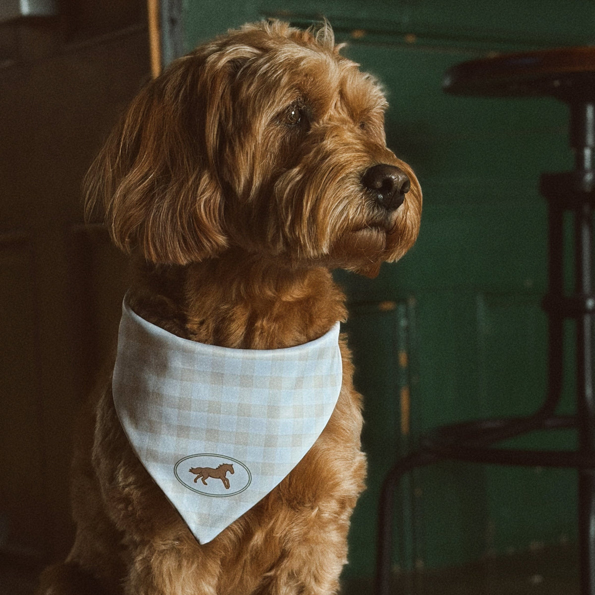 MINOR FLAW The Windsor Dog Bandana