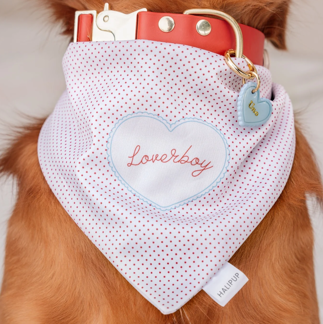 Loverboy Dog Bandana