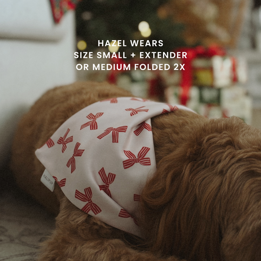 Brown dog wearing a white bandana with red patterns in a cozy living room setting.