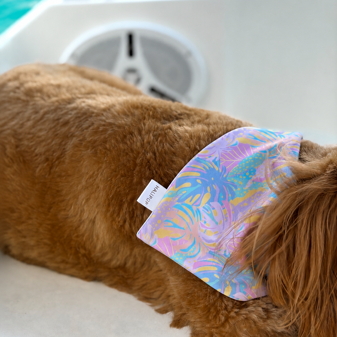 Hotel Hali Dog Bandana