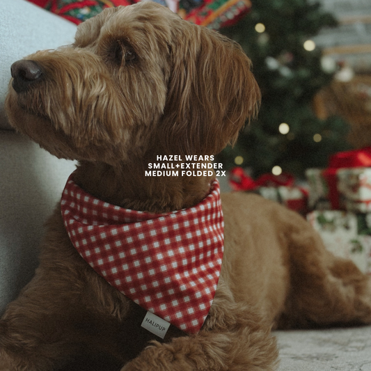 Blush & Blitzen Dog Bandana