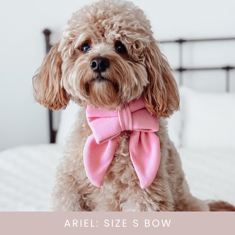 Pink Ribbed Over The Collar Dog Bow