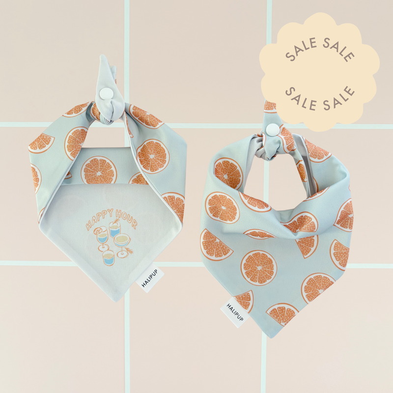 Minor Flaw Pomelo Dog Bandana