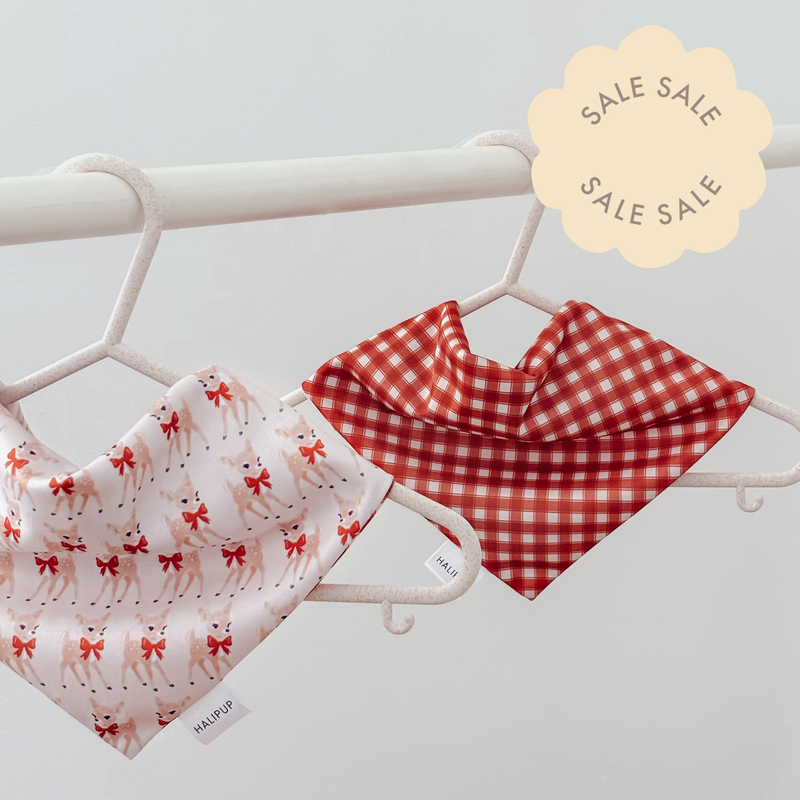 Blush & Blitzen Dog Bandana