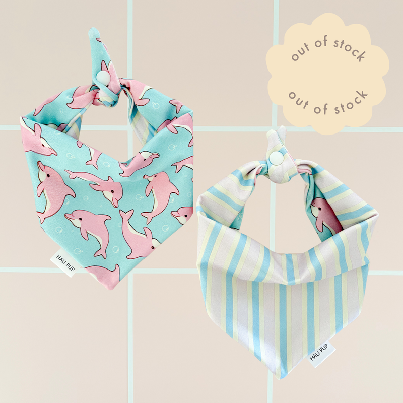Malibu Crush Dog Bandana