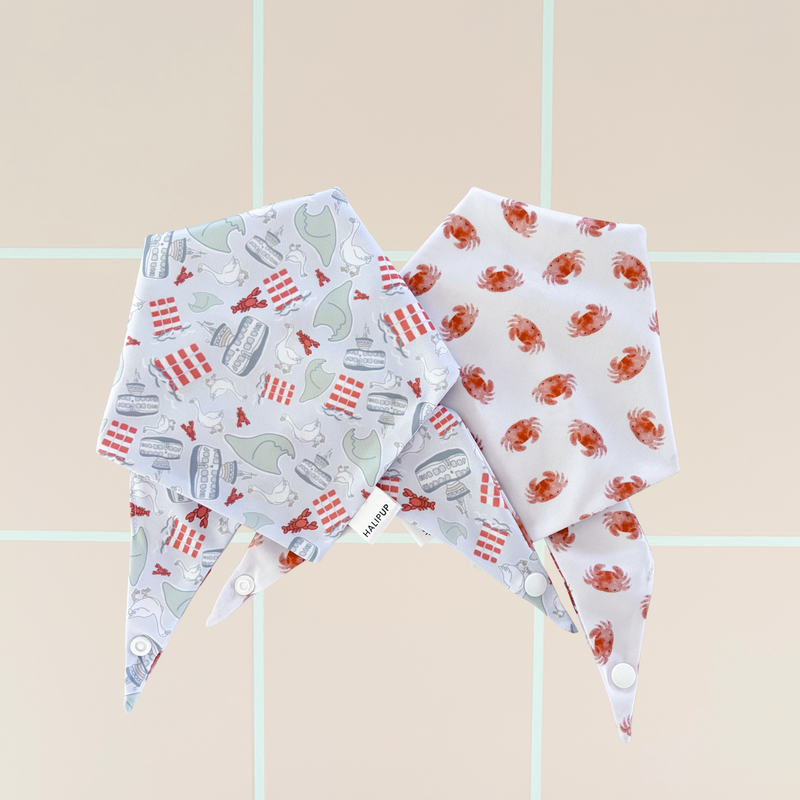 Harbour City Dog Bandana