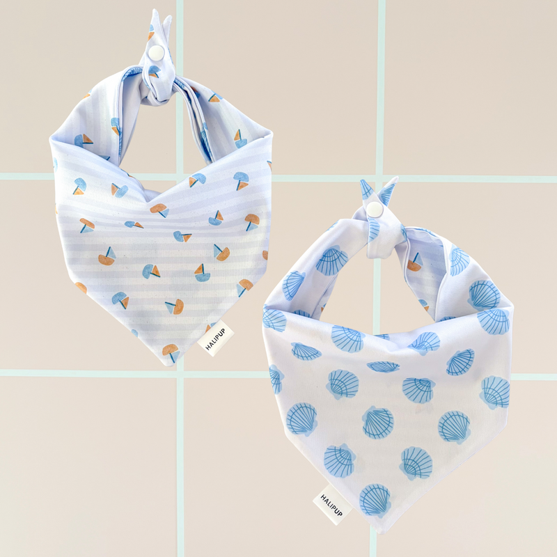 Set Sail Dog Bandana