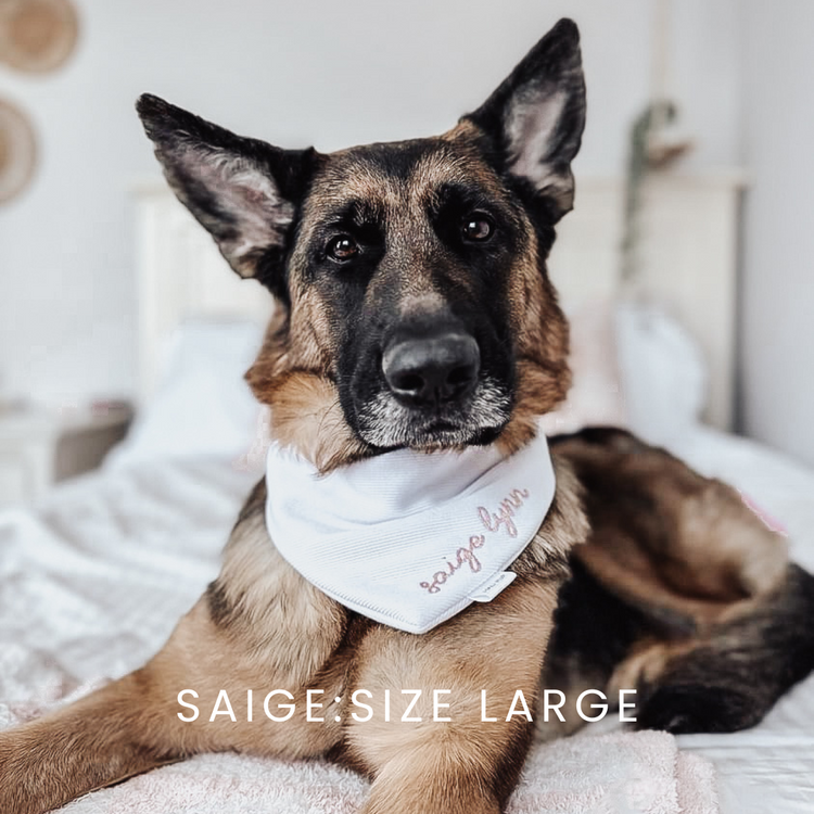 Custom Embroidered White Ribbed Knit Dog Bandana