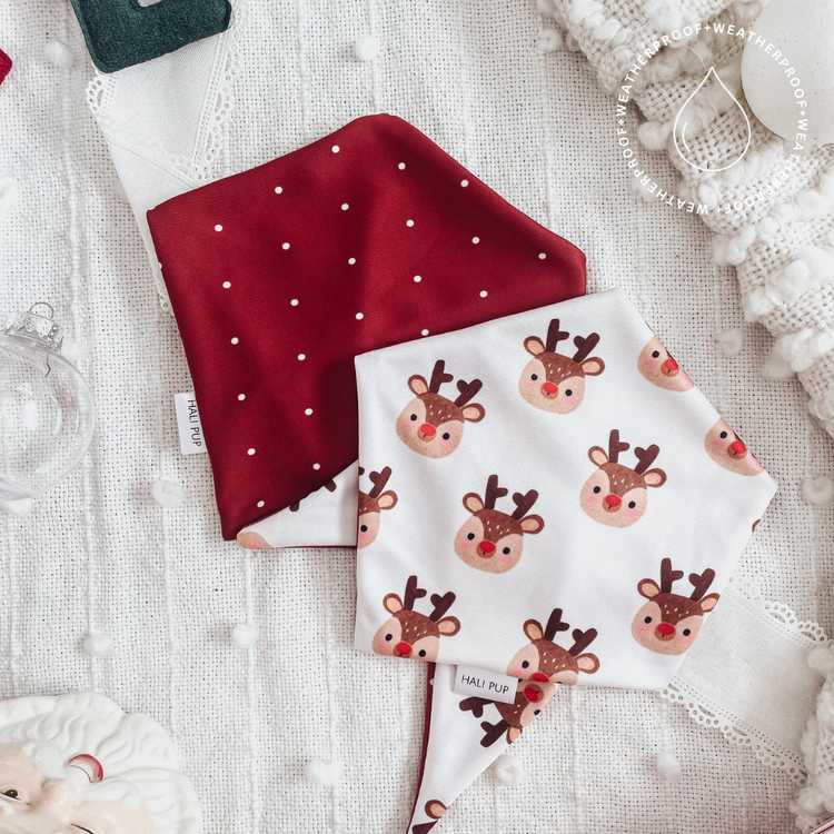 Reindeer with reversible red and white polkadot, all terrain dog bandana