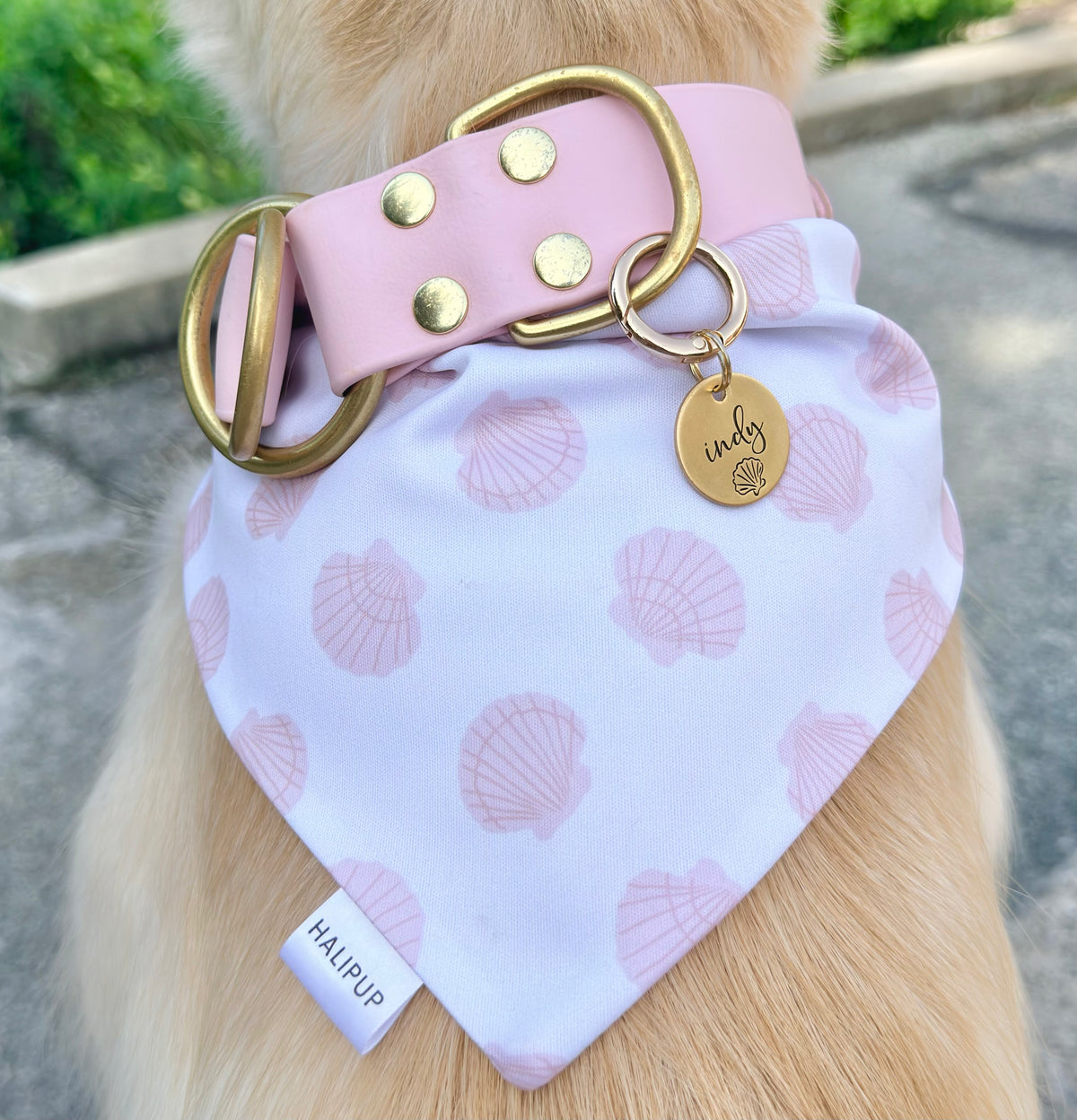 Sardinia Dog Bandana