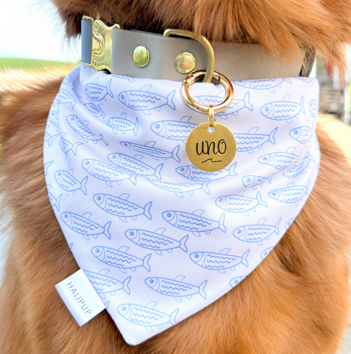 Porto Club Dog Bandana