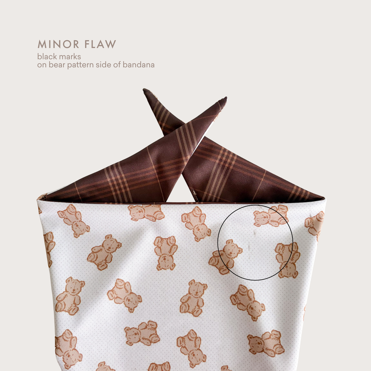 MINOR FLAW The Theodore Dog Bandana