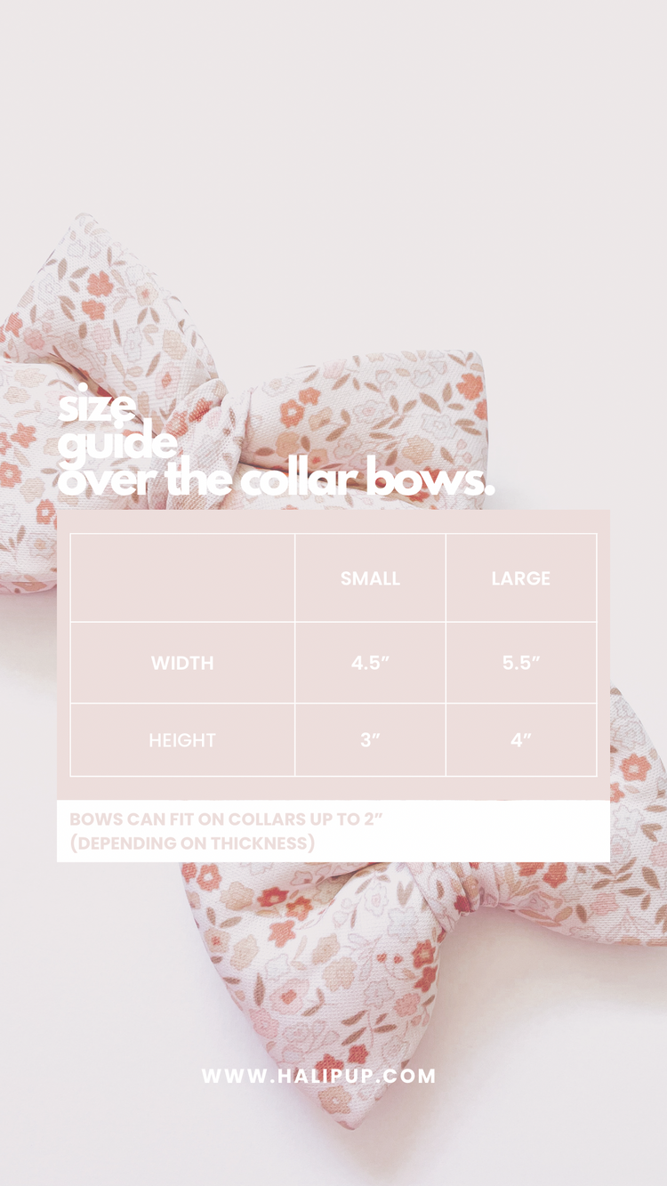 Blush Pink Flora Over The Collar Dog & Cat Bow