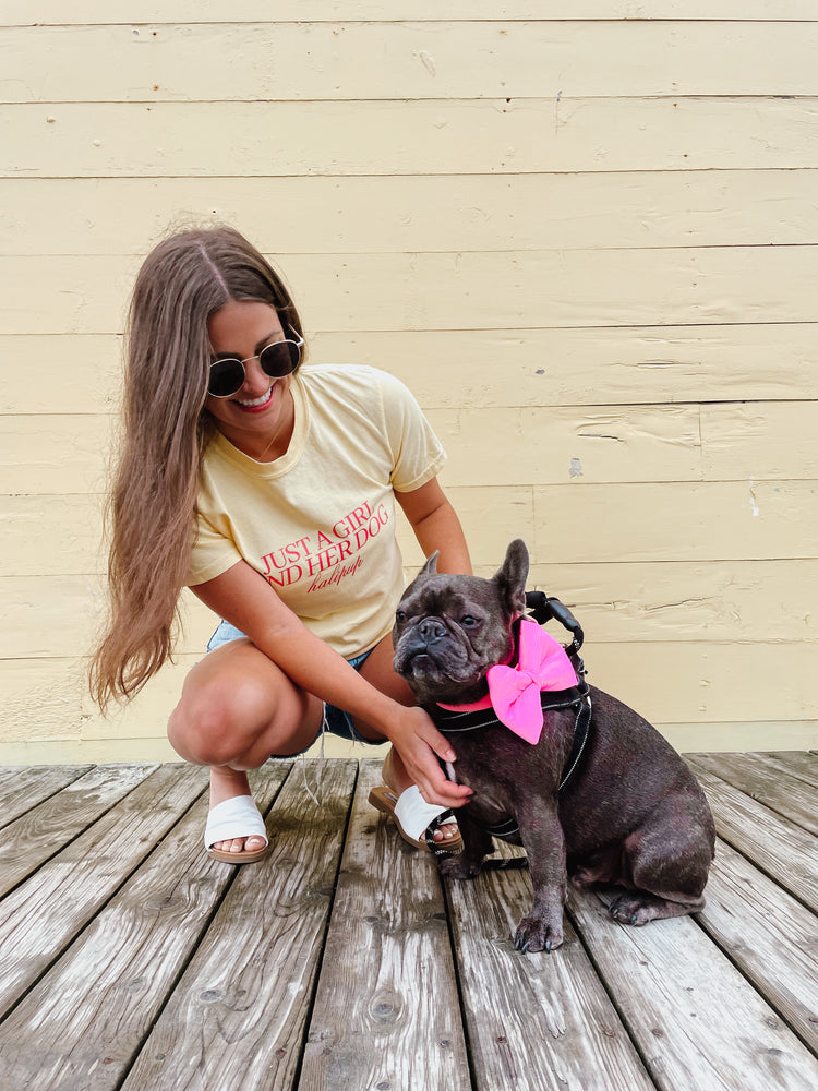 Neon Pink, Over The Collar Dog Bow