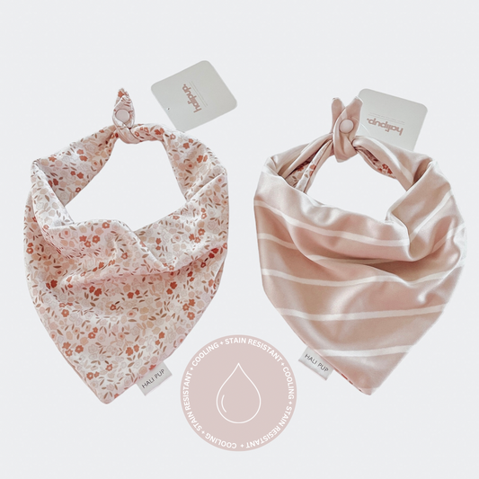 Blush Pink Flora And Stripes Dog Bandana