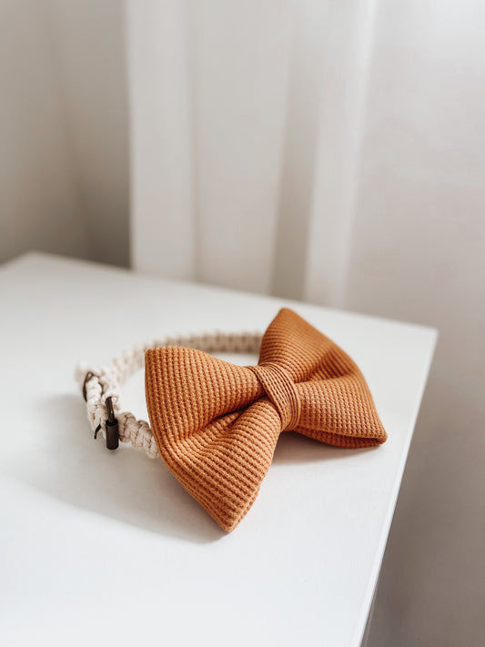 Spice Waffle Knit, Over the collar dog bow