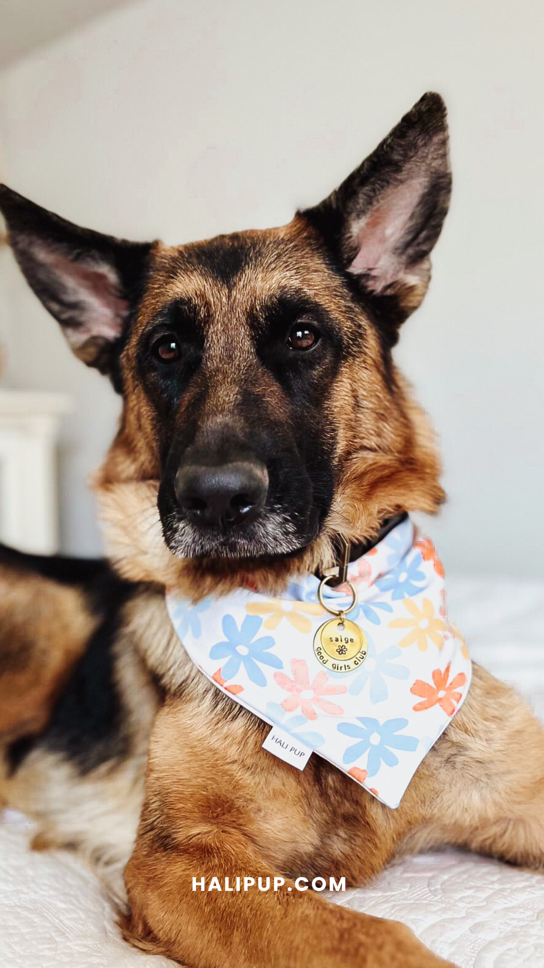 Tropical clearance dog bandana