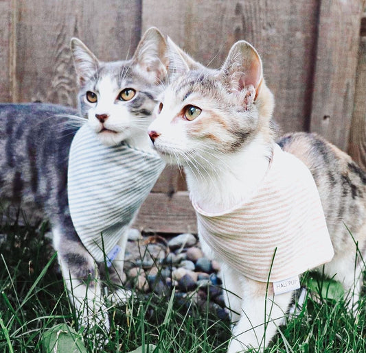 Soft Blue Stripe, Cotton Linen Dog Bandana