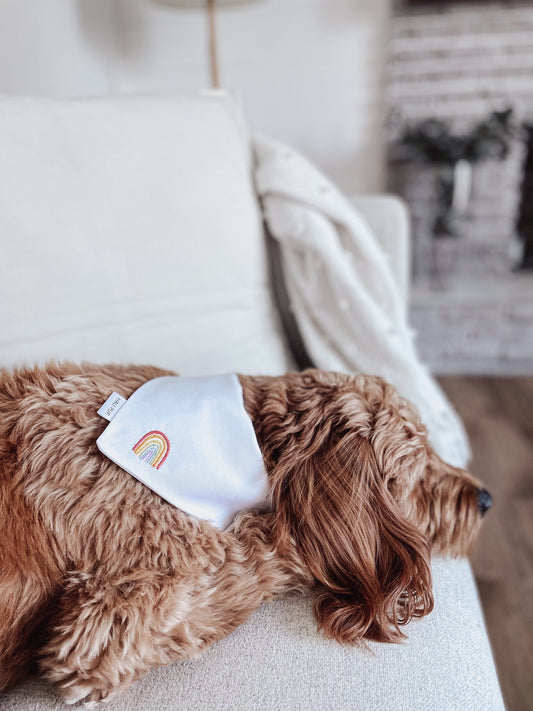 White with embroidered rainbow, tie and snap dog bandana