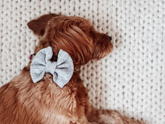 Grey waffle, matching dog mom headband with gift box