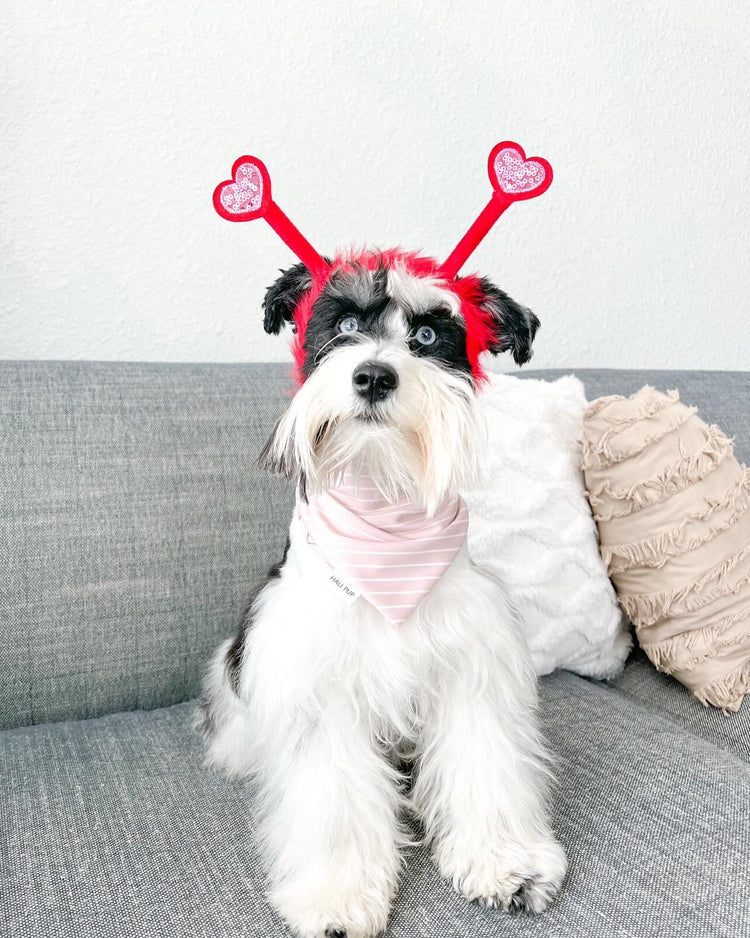 Blush pink and white striped matching dog mom headband with gift box