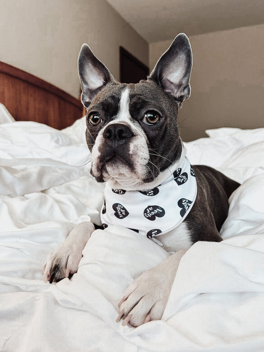 Needy AF with Black and white peace signs, double sided dog & cat bandana