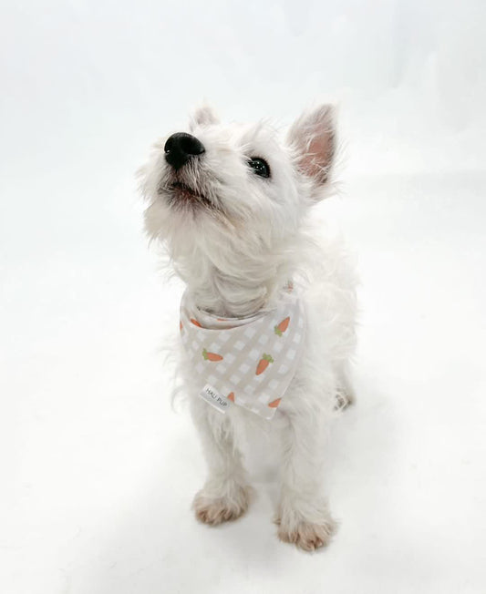 Boho Bunnies with Carrots on Gingham Dog Bandana