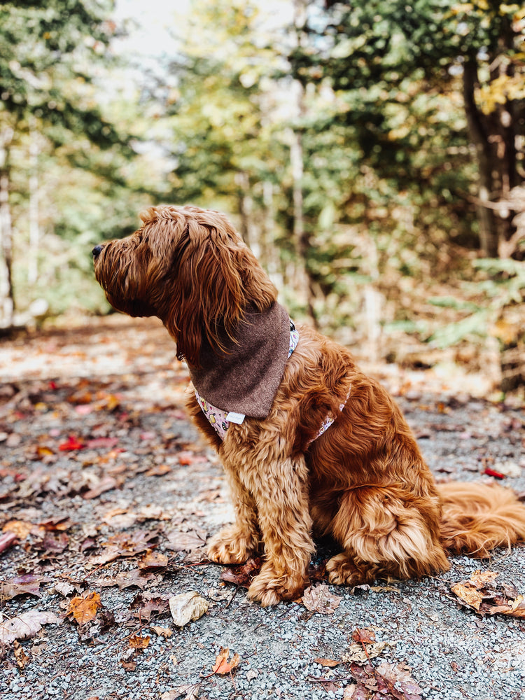 Cozy knit brown, tie and snap dog & cat bandana
