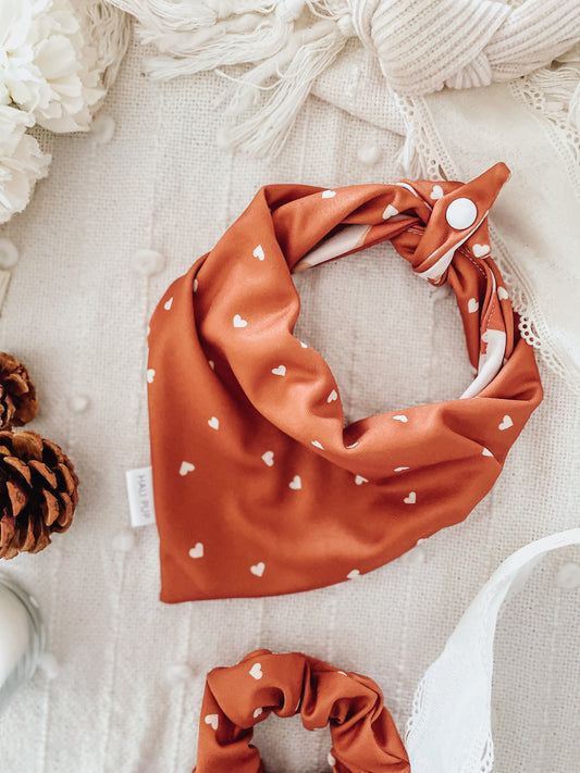 Hearts On Rust & Pumpkin Pies, Dog Bandana