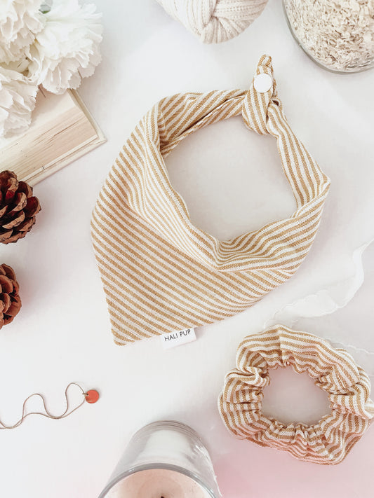 Striped yellow linen, tie and snap dog bandana