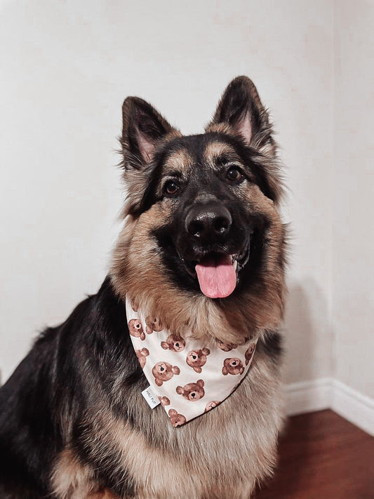 Boho bears & hearts, double sided dog & cat bandana