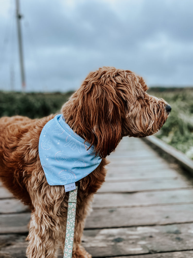 SMR 4EVR, Blue tie dye weatherproof dog bandana