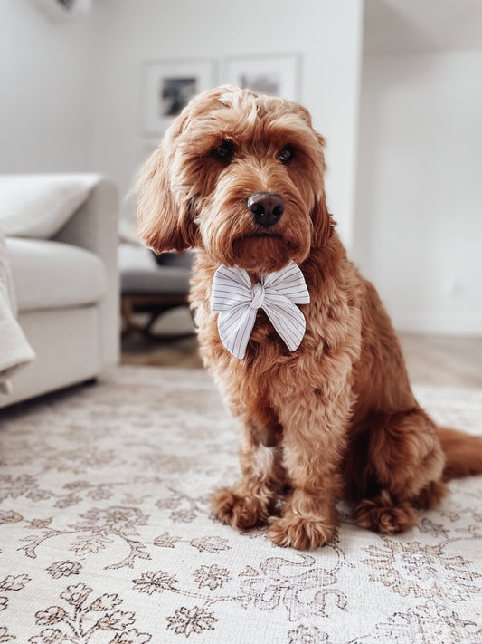 White and blue striped, pup & cat pinwheel over the collar sailor bow