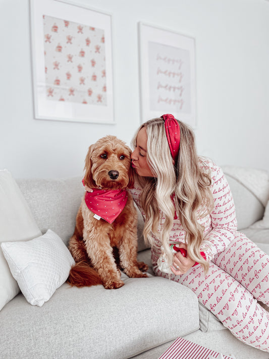 Reindeer with reversible red and white polkadot, all terrain dog bandana