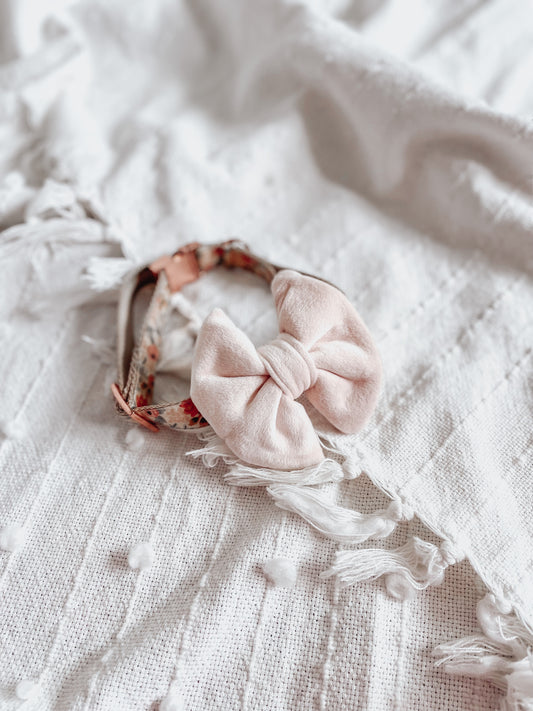 Blush pink velour over the collar dog & cat bow